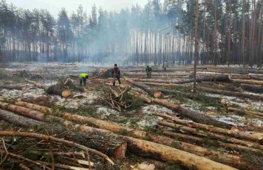 Коммунальные лесхозы либо передадут в подчинение "Лесам Украины", либо приватизируют - ЭКО-информ