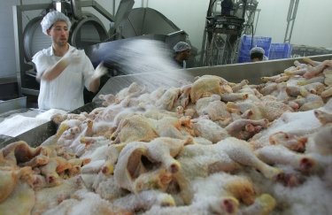Украина существенно нарастила производство курятины