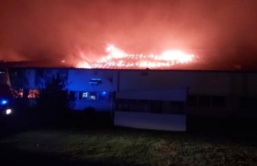 Пожар на Мукачевской лыжной фабрике. Фото: ГСЧС