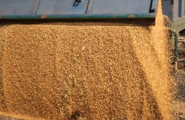 экспорт зерна, украинское зерно в Польше