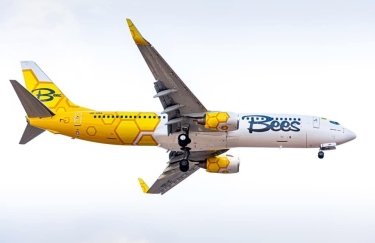 Фото: Facebook/Bees Airline