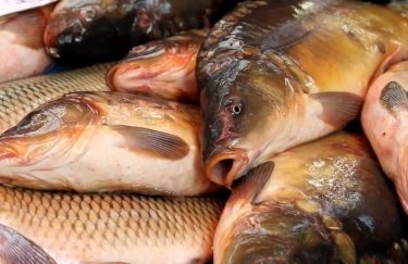 Украина начинает экспорт рыбы и морепродуктов в Гонконг