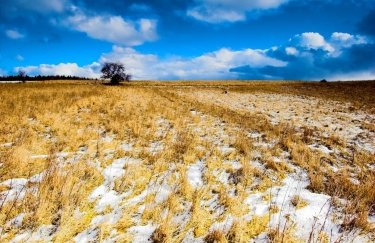 Общая площадь выставленных земельных участков составила 2890 гектаров Земельные аукционы принесли государству 45 млн грн за неделю: цены на гектар выросли в 4,5 раза