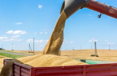 Ціни на перевезення зерна вантажівками почали знижуватися: де логістика коштує найменше