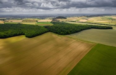 Проєкт "Земельний банк": відбувся перший аукціон з продажу землі