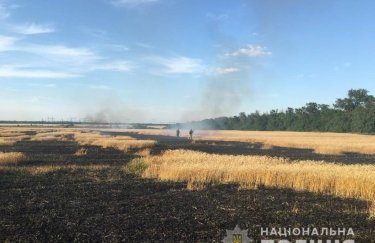 Через війну аграрії Донеччини зазнали понад 5 мільярдів гривень збитків