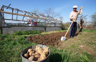 25% селян припинили сільгоспвиробництво через війну