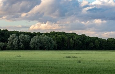 Фото: Cédric VT / Unsplash В Украине хотят создать три национальных парка и сделать больше территорию ряда заповедников