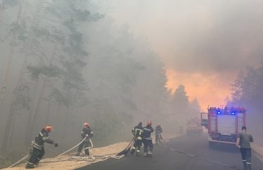 Тушение лесного пожара в Новоайдарском районе в июле 2020. Фото: ГСЧС