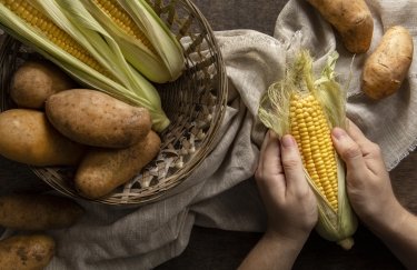 З початку року Україна збільшила експорт агропродукції на 25%