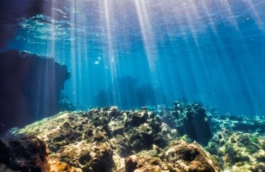 "Кислые" океаны: когда исчезнут кораллы, крабы и устрицы