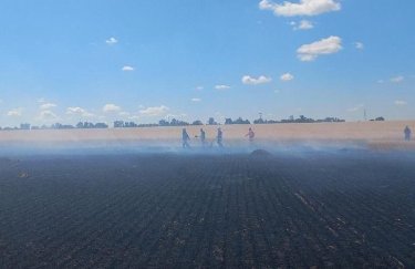 Россияне обстреляли поля с зерном и частные дома в Николаевской области – один человек погиб