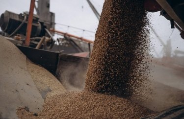 експорт української пшениці, виробництво, урожай пшениці 2023