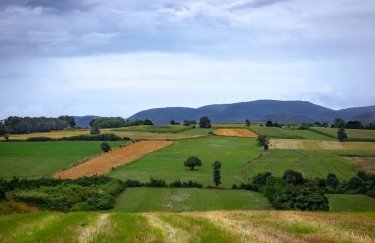 У п’яти областях продали понад 2 тис. гектарів / Freepik земля, аукціони