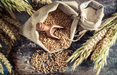 В этом году производство и экспорт зерновых в Украине сократятся – USDA