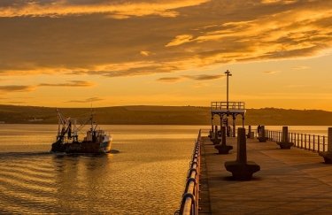 Ильичевский порт должен стать транспортным центром — начальник порта Сергей Крыжановский