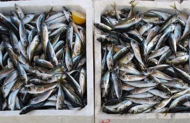 Сколько зарабатывают переработчики рыбы в Украине