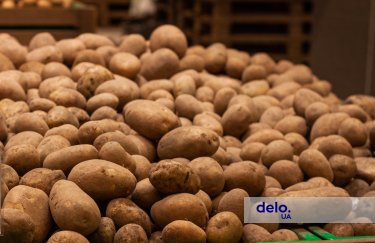 Насіння картоплі буде розподілено у дев'яти найбільш постраждалих областях уздовж лінії фронту. Фото: Delo.ua