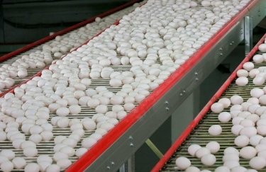 Украинскому производителю яиц запретили строить птицефабрику в Латвии