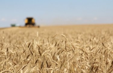 Более 10 млн т украинского зерна ушло на экспорт