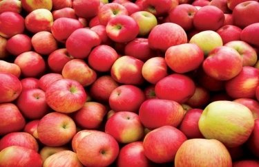 Яблоки в Украине подешевели из-за рекордного урожая