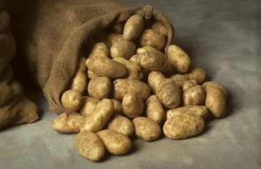 Ціна на картоплю падає / Depositphotos spilled, burlap, sack, potatoes