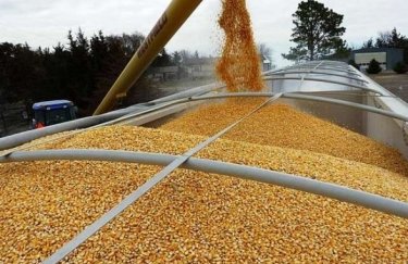 Україна з початку 2023/24 МР експортувала 25,2 млн тонн зернових і зернобобових культур