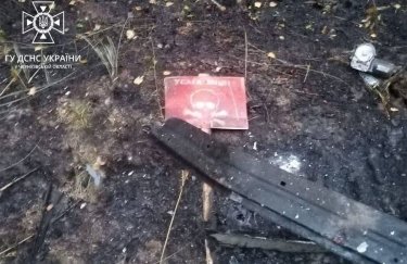 В Херсонской области трое саперов взорвались на российской мине