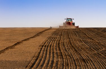 У 2023 році посівні площі під зерновими в Україні скоротяться на 45%, — прогноз