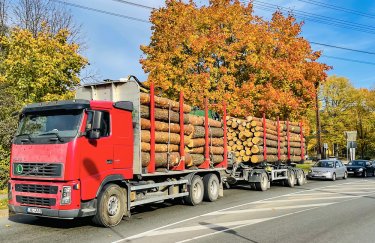 Рынок древесины в Украине скоро откроют