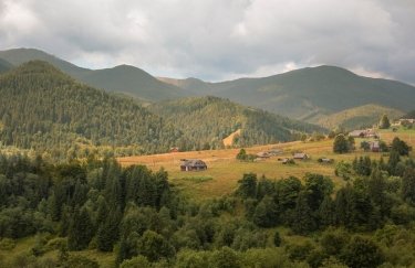 На Закарпатті виставлять на торги земельні ділянки вартістю понад 1 млрд грн