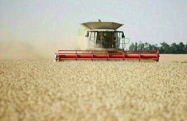 В Украине собрали рекордный за всю историю урожай зерновых
