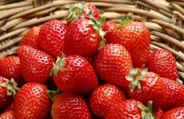 В Украине начался сезон клубники открытого грунта: сколько стоит ягода