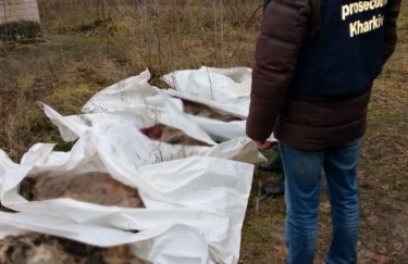 На Харьковщине эксгумированы тела пяти человек, погибших в результате российского авиаудара