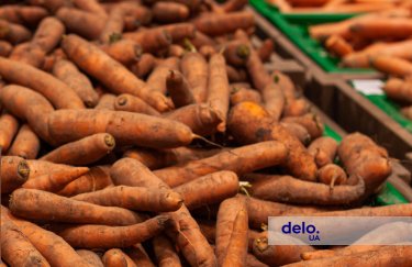 В Украине дешевеет морковь