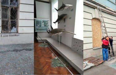 Ученые просят спасти столичный музей естествознания и его экспозицию после обстрела 10 октября