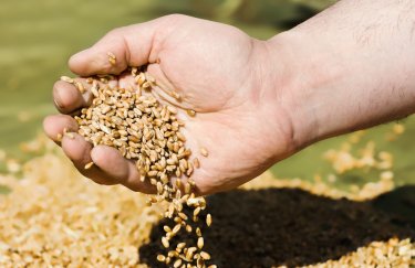 Латвия первой в ЕС запретила импорт "кровавого" зерна из России и Белоруссии