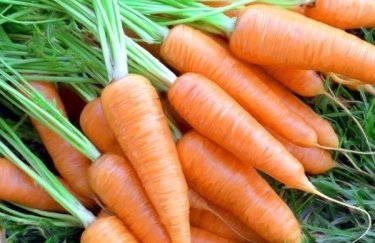 В Украине упали цены на морковь: производители спешно распродают остатки из хранилищ