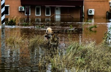 Оккупанты выпустили 304 снаряда по Херсонщине: есть погибшие и раненые