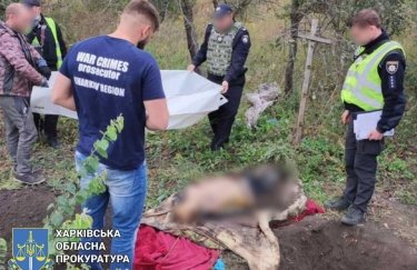 У звільненому селі на Харківщині знайшли тіла закатованих мирних мешканців (ФОТО)