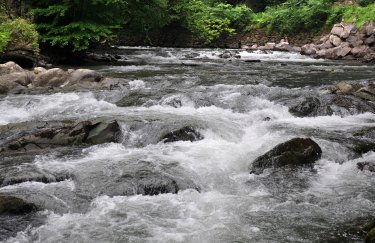 Партнер Фирташа Тынный хочет застроить закарпатские реки малыми ГЭС. Общины против