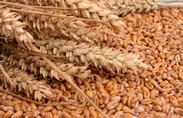 Заявленная кредитором Argentem Creek Partners пропажа 400 тыс. тонн зерна является чистой манипуляцией – GNT Group