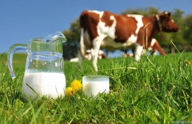 К 2030 году Украина может стать крупнейшим экспортером молока