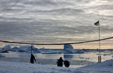 Зима на станции "Академик Вернадский" в Антарктиде стала самой теплой более чем за 70 лет наблюдений
