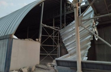 В Одесской области вражеские дроны повредили зернохранилища и производственно-перегрузочный комплекс (ФОТО)