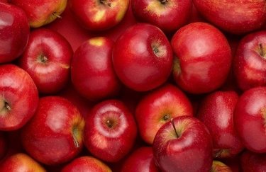 Украина впервые экспортировала яблоки в ОАЭ