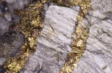 На Закарпатье нашли месторождение золота