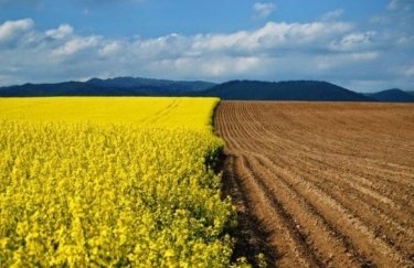 Ціни на сільгоспземлю відновили зростання після спаду. Фото: Depositphotos земля