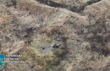 В Харьковской области двое селян пошли за скотом и погибли, подорвавшись на мине