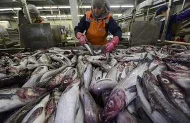 Украина резко увеличила экспорт рыбы